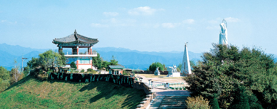 Typhoon Observatory