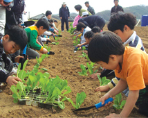 푸르내마을