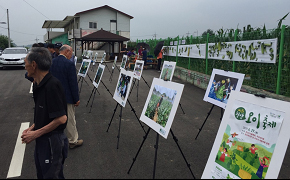 청산 오이 축제 3
