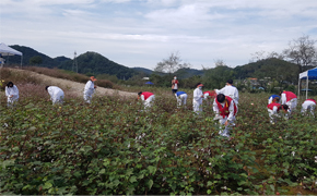 당포성 별빛 축제 6