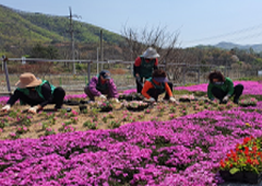 도로변 및 화단 조성 이미지