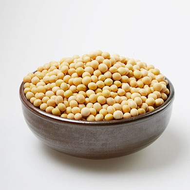 옥계마을 연천콩 사진