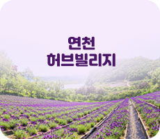 연천허브빌리지