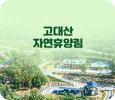 고대산 자연휴양림